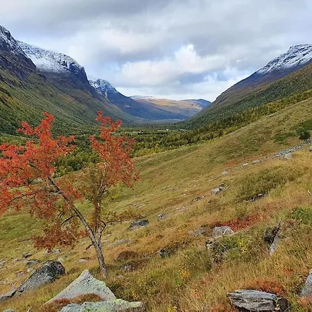 Lisas Hus #kafjord#lyngen Daire Samuelsberg